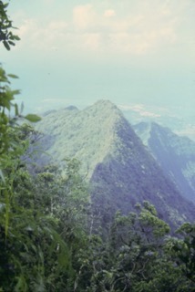 Photos TAHITI 1967