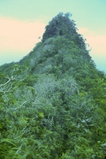 Photos TAHITI 1967