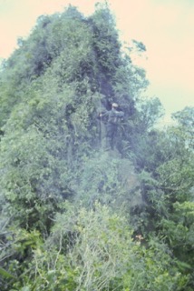 Photos TAHITI 1967
