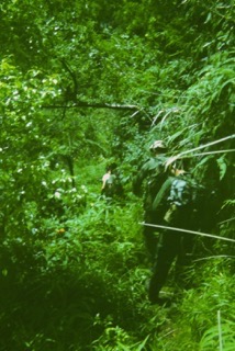 Photos TAHITI 1967