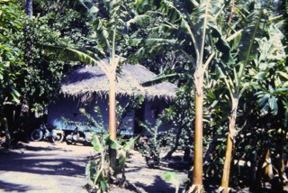 Photos TAHITI 1967