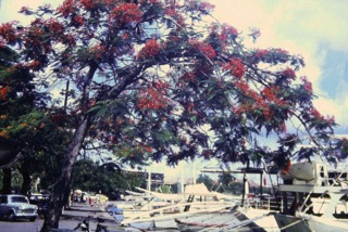 Photos TAHITI 1967