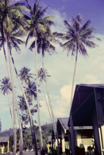 Photos TAHITI 1967