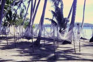 Photos TAHITI 1967
