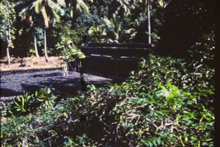 Photos TAHITI 1967