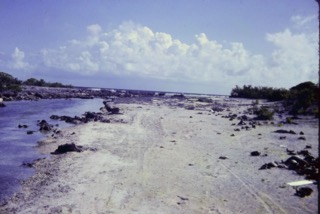 Photos TAHITI 1967