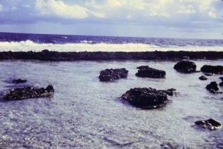 Photos TAHITI 1967