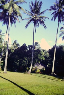 Photos TAHITI 1967