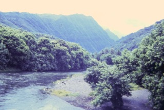 Photos TAHITI 1967