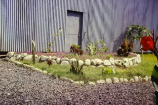Photos TAHITI 1967