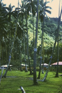 Photos TAHITI 1967