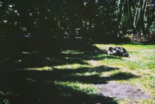 Photos TAHITI 1967
