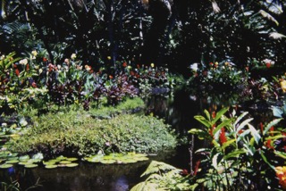 Photos TAHITI 1967