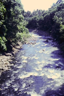 Photos TAHITI 1967